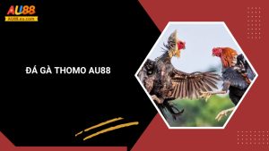Đá Gà Thomo Au88: Kịch Tính Sân Đấu, Thắng Lớn Mỗi Ngày 1 Đá Gà Thomo Au88: Kịch Tính Sân Đấu, Thắng Lớn Mỗi Ngày